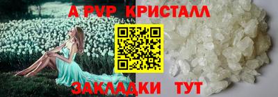 спиды Краснодар